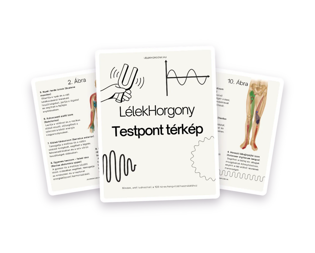 Testpont Térkép — digitális útmutató ábrákkal